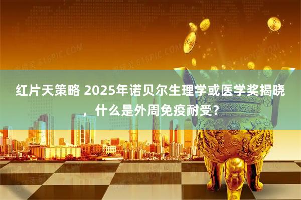 红片天策略 2025年诺贝尔生理学或医学奖揭晓，什么是外周免疫耐受？